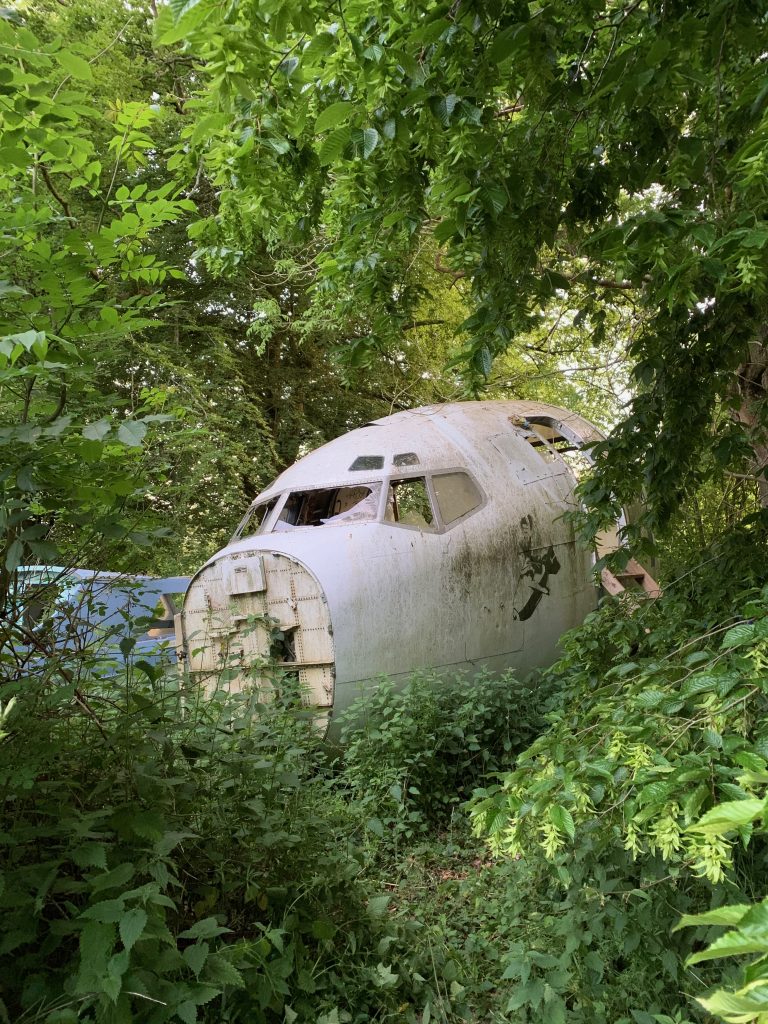 The old fuselage of a plane sits amongst overgrown foliage