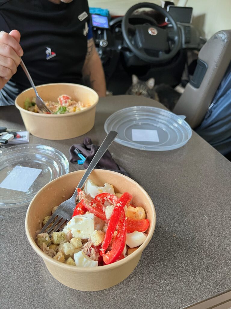 a man is about to eat some of his fresh salad, the salads are in takeaway tubs. There is the steering wheel of motorhome visible in the background and a cat is sat on the chair int he background looking at the mans food 