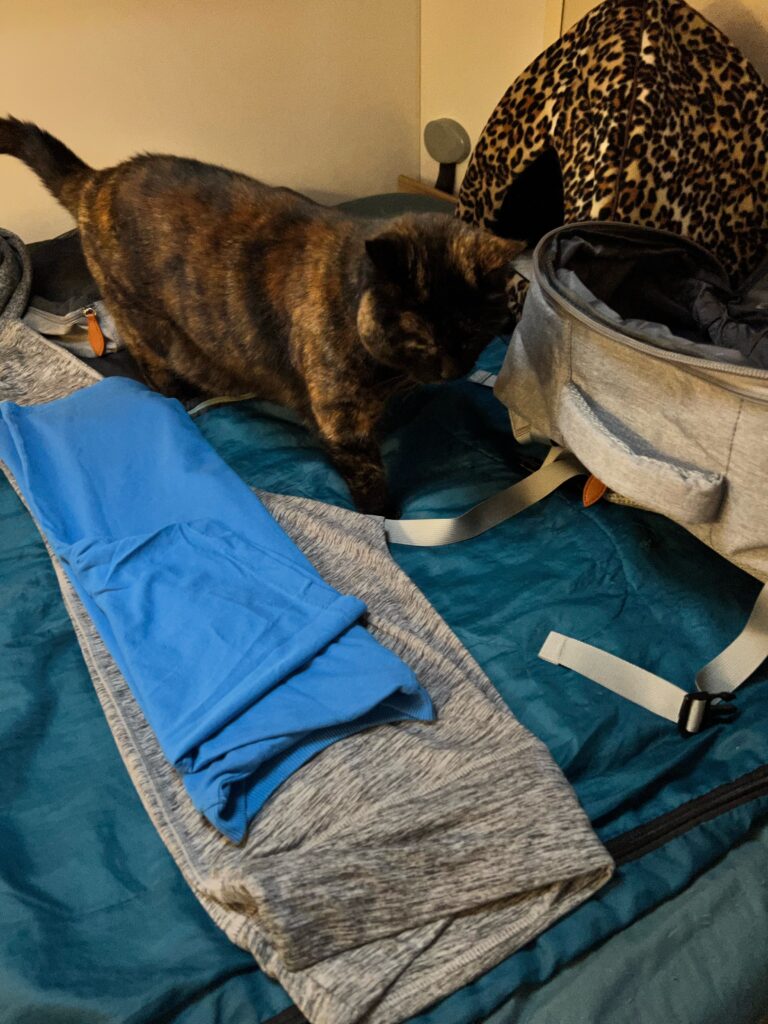 A tortoiseshell cat is approaching an open suitcase backpack on the bed.Some clothes are laid out in front of the suitcase, ready to be specially rolled to pack away 